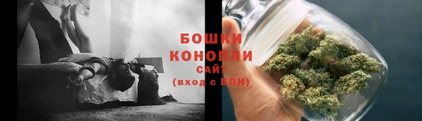 ГАЛЛЮЦИНОГЕННЫЕ ГРИБЫ Балабаново