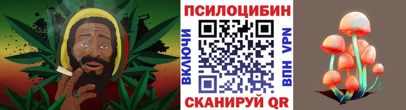 mega ссылки Перевоз Псилоцибиновые грибы мухоморы